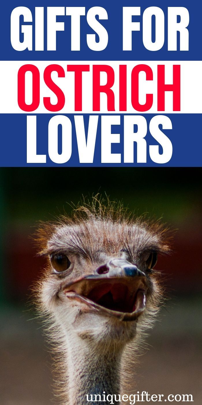 Gifts for ostrich lovers | Best ostrich lovers Gift Ideas | Entertaining Gifts f...