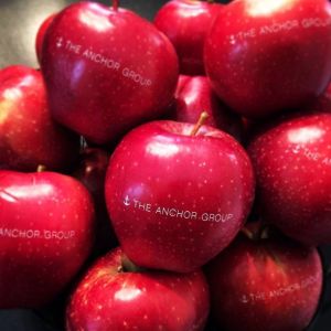 Fruit Monograms | Healthy Branding Ideas | Healthy Corporate Gifts | Monogrammed...