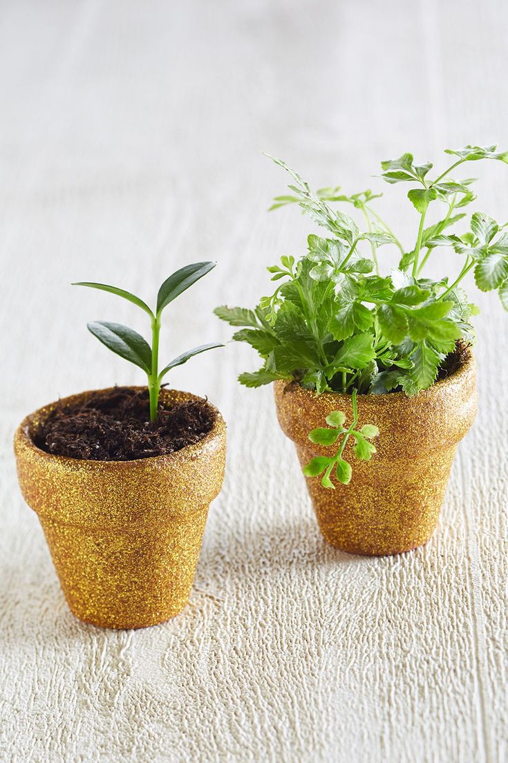 If you need a simple and fun DIY gift idea try these glitter mini planters. Glit...