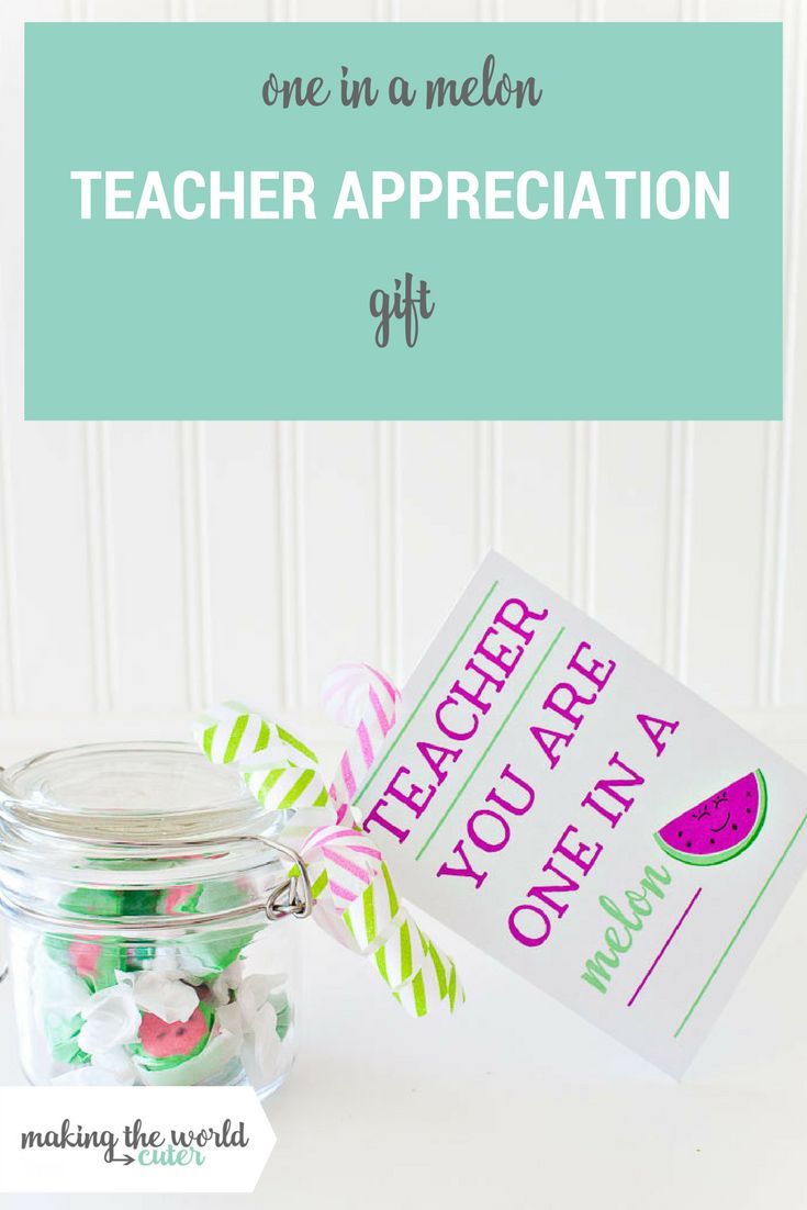 Teacher you are one in a melon gift idea